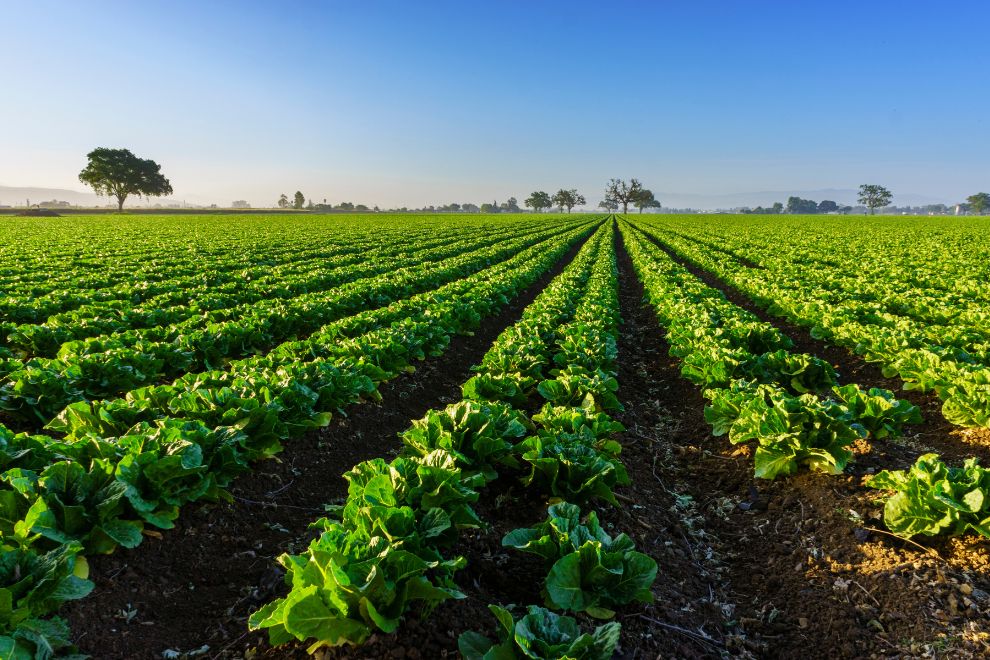 Canadian Organic Standards Webinars