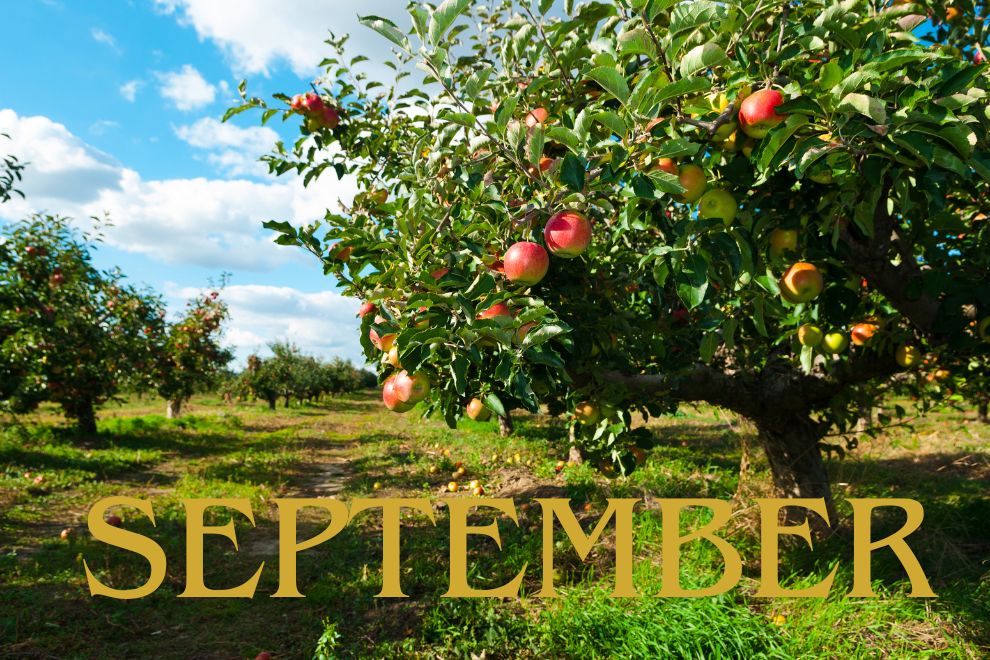 Organic September