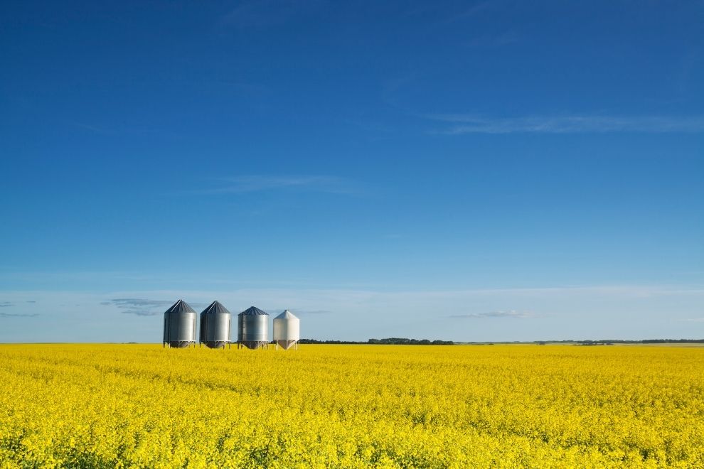 Canadian Food Growing Strategy