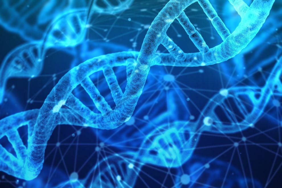 Gene Editing Regulations