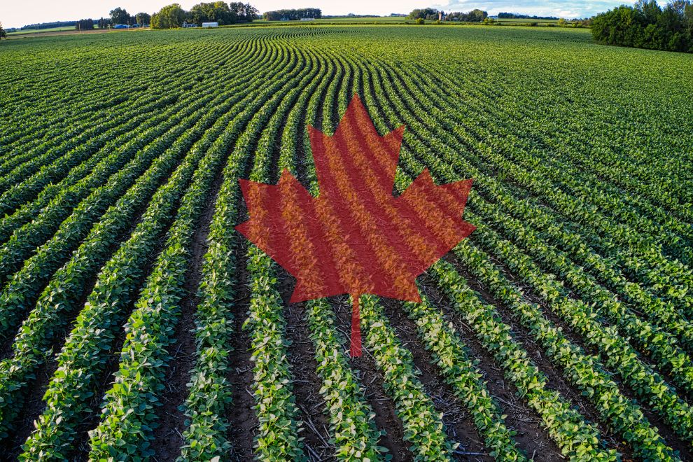 Canadian Organic Farming