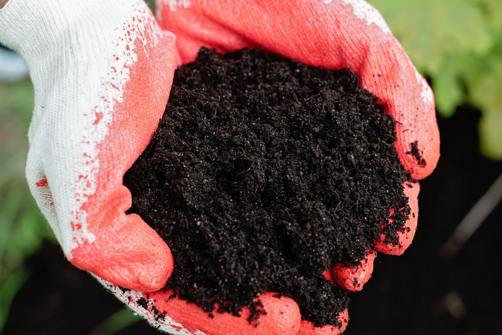 Organic Composting Workshop