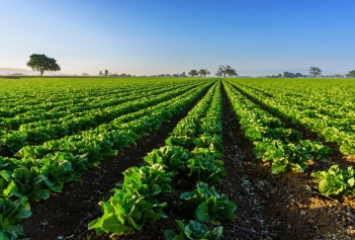 Canadian Organic Standards Webinars