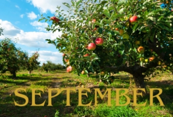 Organic September