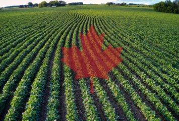 Canadian Organic Farming